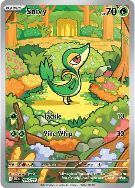 Snivy - 087/086 [SV: Black Bolt]