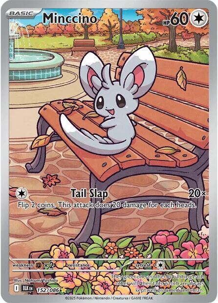 Minccino - 152/086 [SV: Black Bolt]