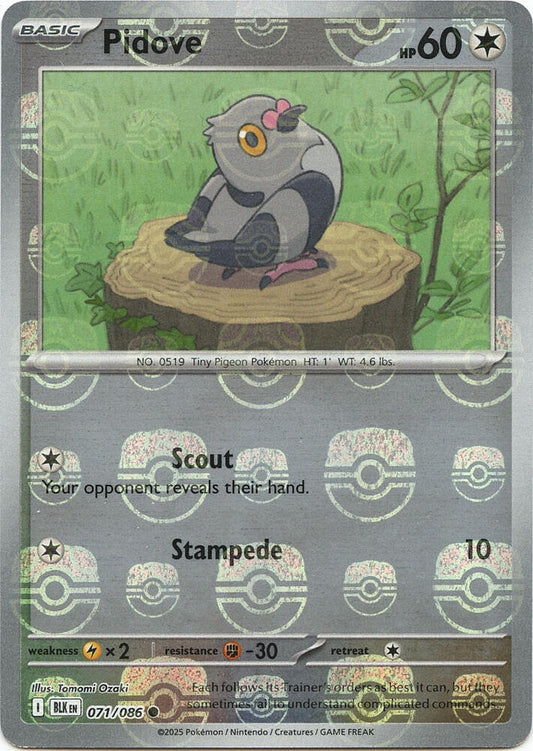 Pidove (Master Ball Pattern) (071/086) [SV: Black Bolt]